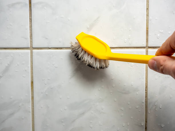 Best Mold Removal Near Me  in Blue Rapids, KS