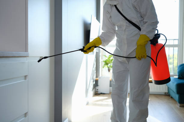 Best Mold Remediation  in Blue Rapids, KS