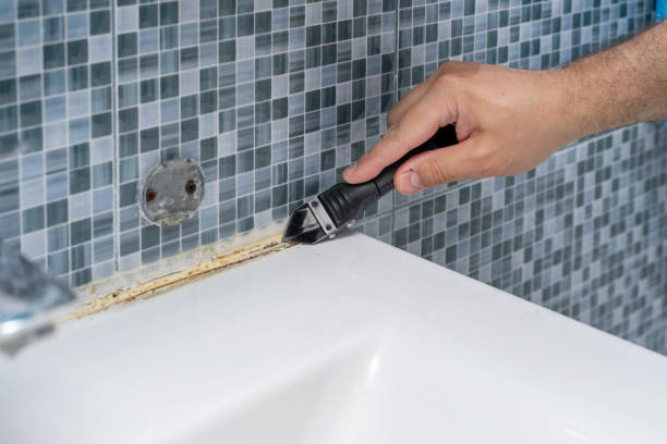 Best Toxic Mold Removal  in Blue Rapids, KS
